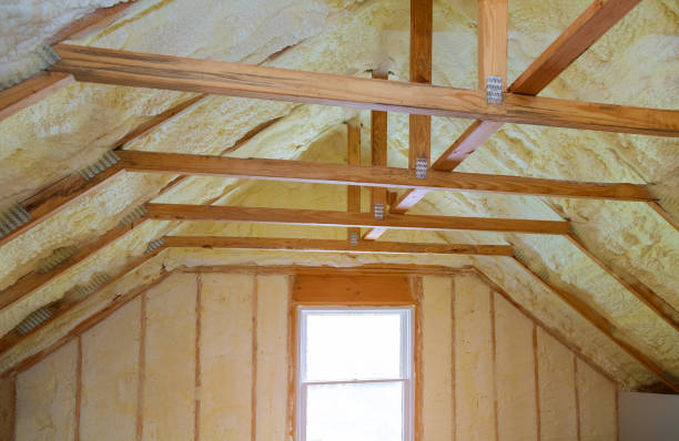 Best Insulation Maintenance and Repair in Mentor, OH